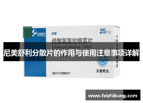尼美舒利分散片的作用与使用注意事项详解