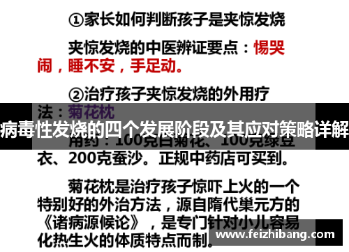 病毒性发烧的四个发展阶段及其应对策略详解