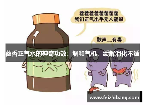 藿香正气水的神奇功效:调和气机,缓解消化不适 藿香正气水的神奇功效:调和气机,缓解消化不适