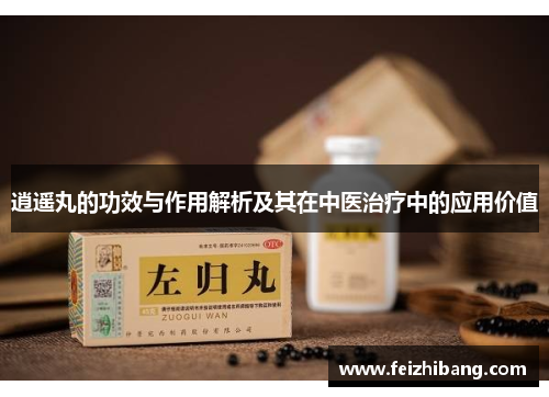 逍遥丸的功效与作用解析及其在中医治疗中的应用价值