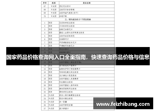 国家药品价格查询网入口全面指南，快速查询药品价格与信息