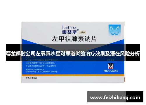 尊龙凯时公司左氧氟沙星对尿道炎的治疗效果及潜在风险分析