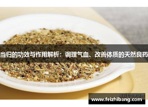 当归的功效与作用解析：调理气血、改善体质的天然良药